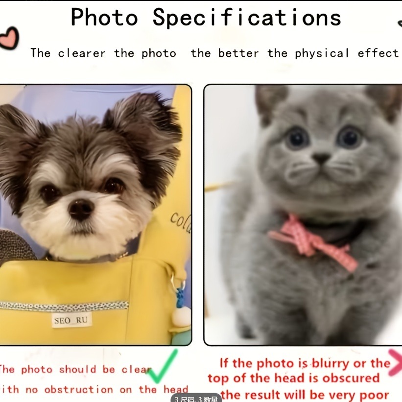 Espositore da Tavolo in Acrili - Pet Portrait Custom recensione e prezzo